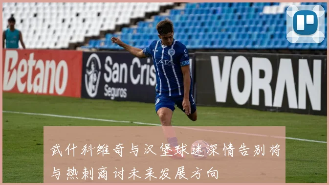 武什科维奇与汉堡球迷深情告别将与热刺商讨未来发展方向